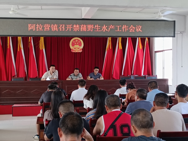 图片11.jpg