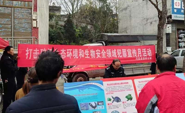图片9.jpg