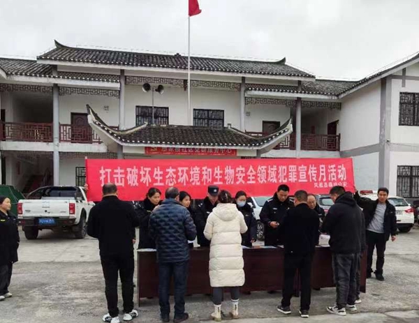 图片10.jpg