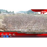 2023年12月14日湖南凤凰新闻