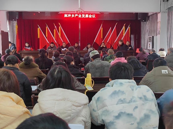 图片8.jpg
