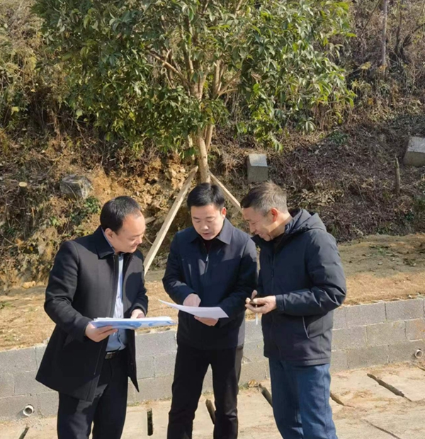 图片9_副本.jpg
