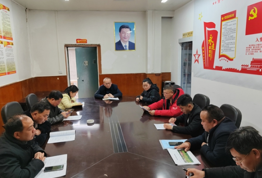 凤凰：农技专家为“巨型稻”产业发展“把脉支招”