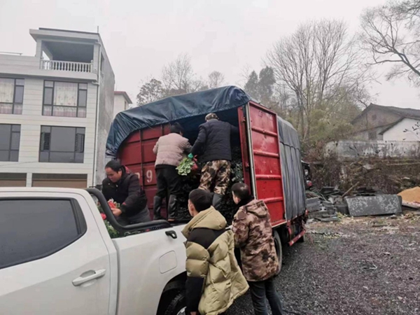 图片13.jpg
