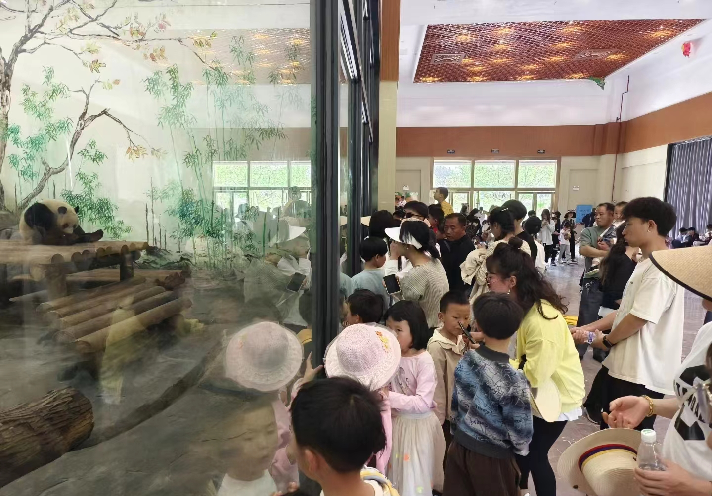 图片7.png