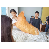 凤凰县腊尔山镇：小蚕茧大丰收，打通致富新“丝”路