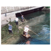 开展河道水草整治，力促人居环境提升  ——凤凰县环卫局、家宝公司开展沱江河水草专项整治行动