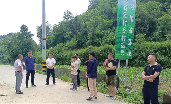 图片18.jpg