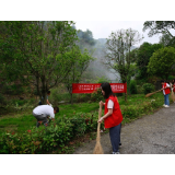 凤凰县委办：“倡导爱绿护绿 共建和美乡村”主题党日活动