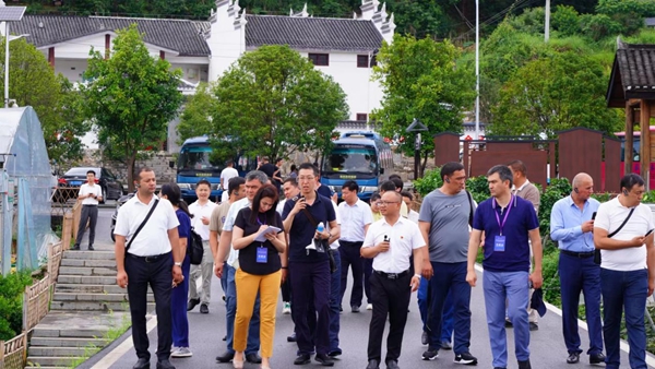 图片12.jpg