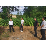 吴汉章到新场镇检查尾砂库安全生产