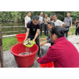 凤凰县木江坪镇：优化营商环境，助力产业振兴