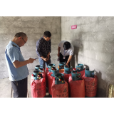凤凰县吉信镇：扎实开展燃气行业安全生产大排查大整治