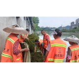 强化河道水草治理  持续守护水域环境  ——凤凰县环卫局、家宝公司集中力量全面清理沱江河水草