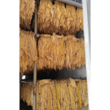 凤凰县千工坪镇高坳村：第一炉“黄金叶”新鲜出炉