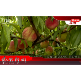 2023年07月04日湖南凤凰新闻