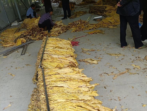 图片14.jpg