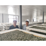艾均文  李章宝一行到凤凰调研指导蚕桑产业发展