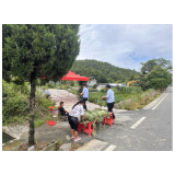 凤凰县交通执法：积极开展路域环境专项整治行动