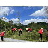 凤凰县麻冲乡：志愿服务让人居环境“整”出新气象