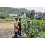 凤凰县林峰乡：主动服务化解矛盾之“结”