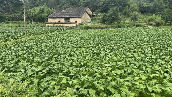 图片34.jpg