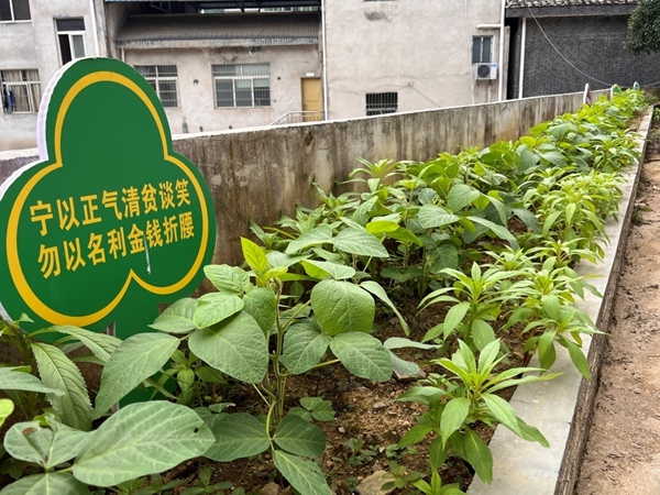 图片6.jpg
