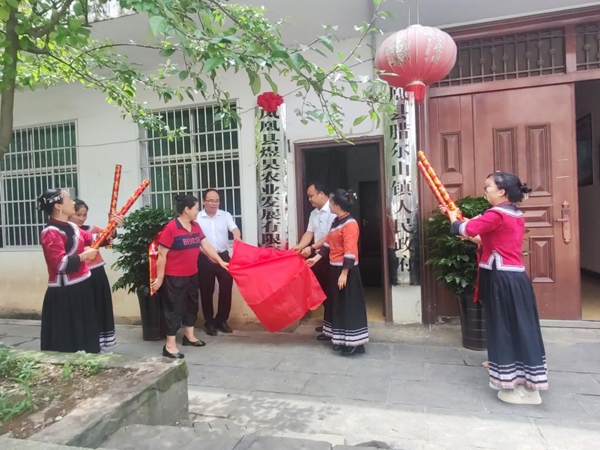 图片13.jpg