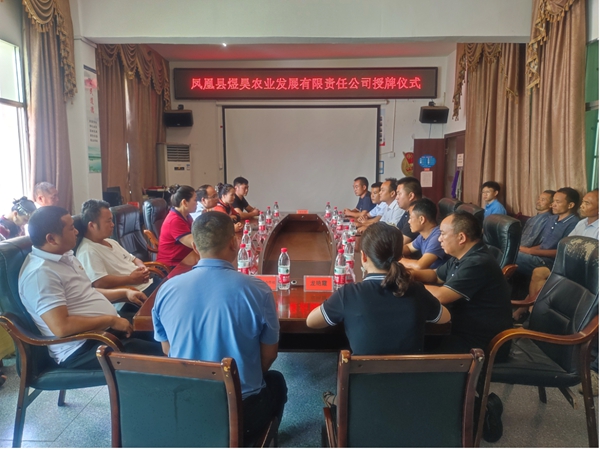 图片11.jpg