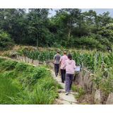 凤凰县千工坪学区：开展“千师访万家 清风抚童心”暑假走访活动