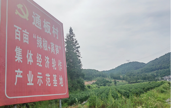 图片10.jpg