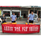 凤凰法院：利剑护蕾，“未”爱护航