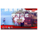 2023年08月08日湖南凤凰新闻