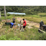 凤凰县千工坪镇：周末不打烊，整治不停歇，全力助推“四城同创”工作