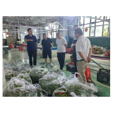 凤凰县禾库镇：辣椒销售有门路 农民致富搭“便车”
