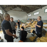 凤凰县禾库镇：金叶丰收月 烟站开秤忙