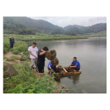 凤凰县两林乡：开展禁渔禁捕行动 筑牢生态保护安全防线