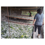凤凰县新场镇：鼓励返乡创业 助力乡村振兴