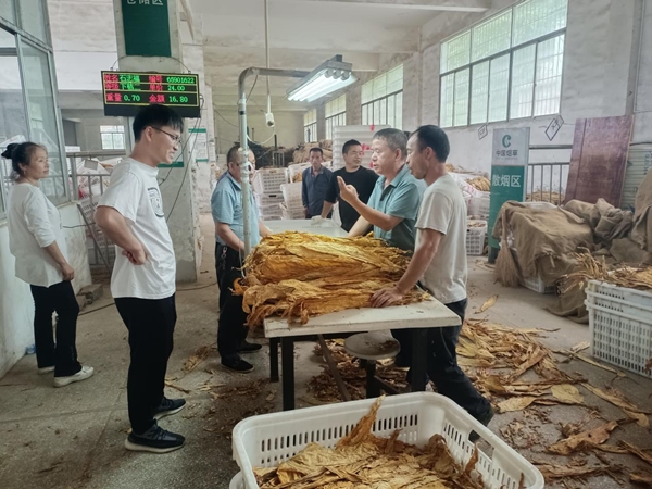 图片11.jpg