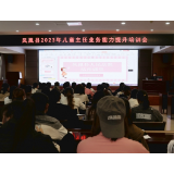 利剑护蕾丨凤凰法院：为全县儿童主任讲授未成年人预防性侵法治课