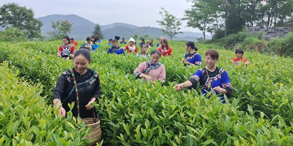图片5.jpg