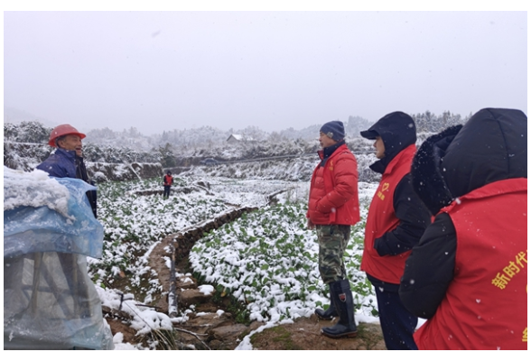 文明新风润湘西丨凤凰县水打田乡：多措并举做好防寒防冻工作 优化营商环境