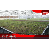 2024年01月04日湖南凤凰新闻