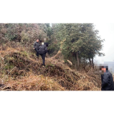 凤凰县新场镇：山林土地起纠纷 巧妙化解暖民心