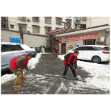 凤凰县公路建设养护中心：铲雪除冰保出行  志愿服务暖人心