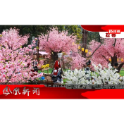 2024年03月16日湖南凤凰新闻
