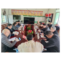陈文君深入筸子坪镇欧阳村调研乡村振兴工作