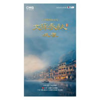 重磅!大型纪录片《文脉春秋·凤凰》于3月21日18时20分在央视综合频道开播！
