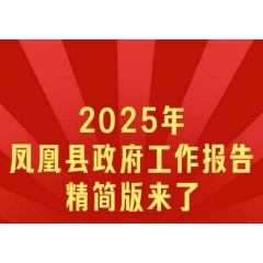 2025年凤凰县政府工作报告精简版来了