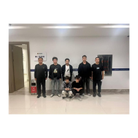 组团“拉车门”盗窃财物    凤凰公安快速破案挽损